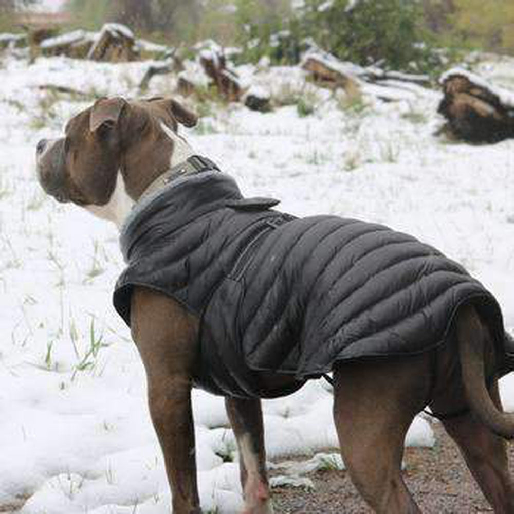 Alpine Extreme Weather Puffer Dog Coat - Black