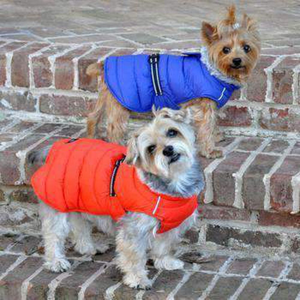 Alpine Extreme Weather Puffer Dog Coat - Navy Blue