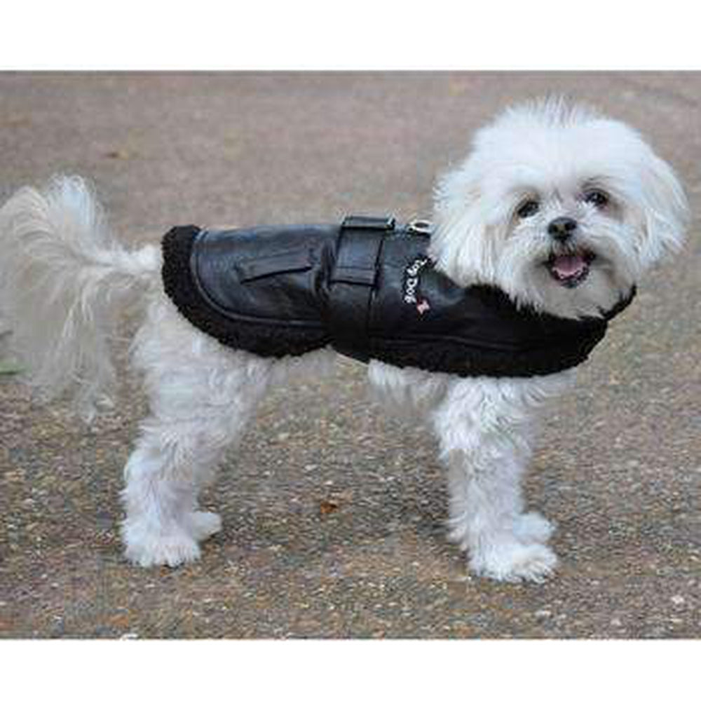 Black Top Dog Flight Coat