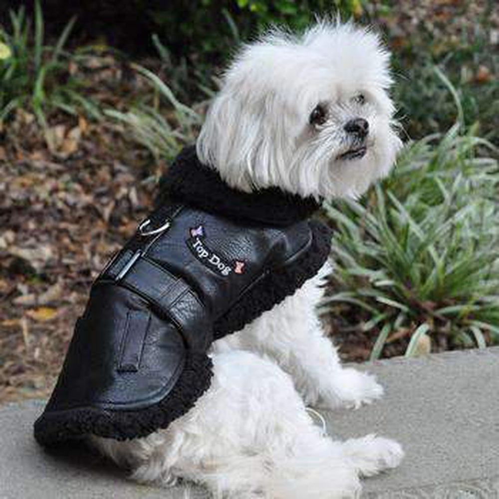 Black Top Dog Flight Coat