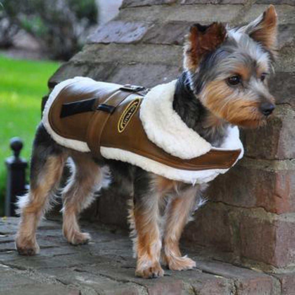 Brown and Black Faux Leather Bomber Dog Coat Harness + Leash