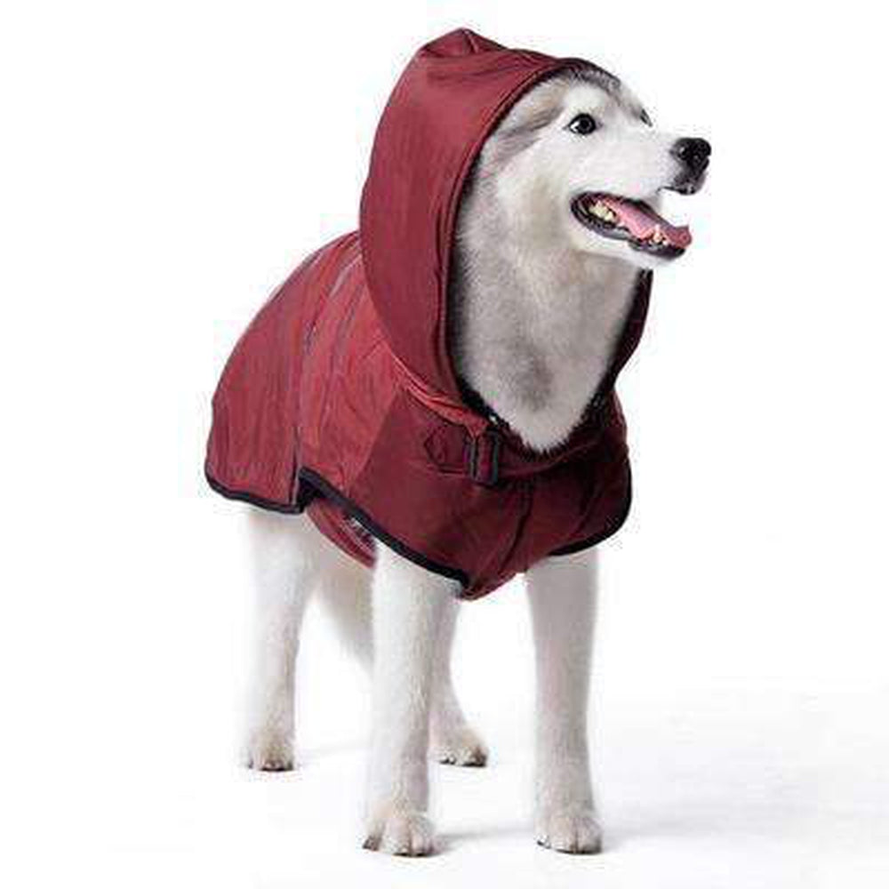 Classic Trench Dog Coat - Maroon