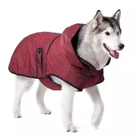 Classic Trench Dog Coat - Maroon