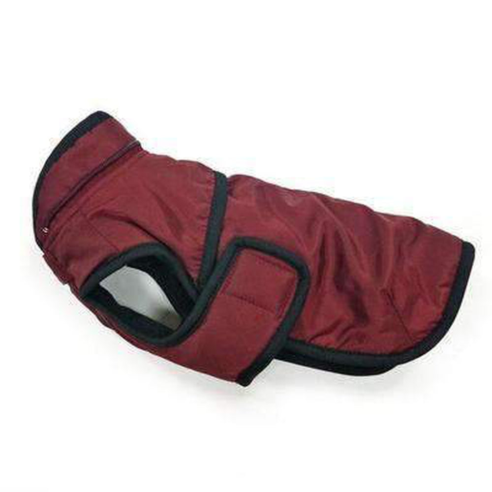 Classic Trench Dog Coat - Maroon