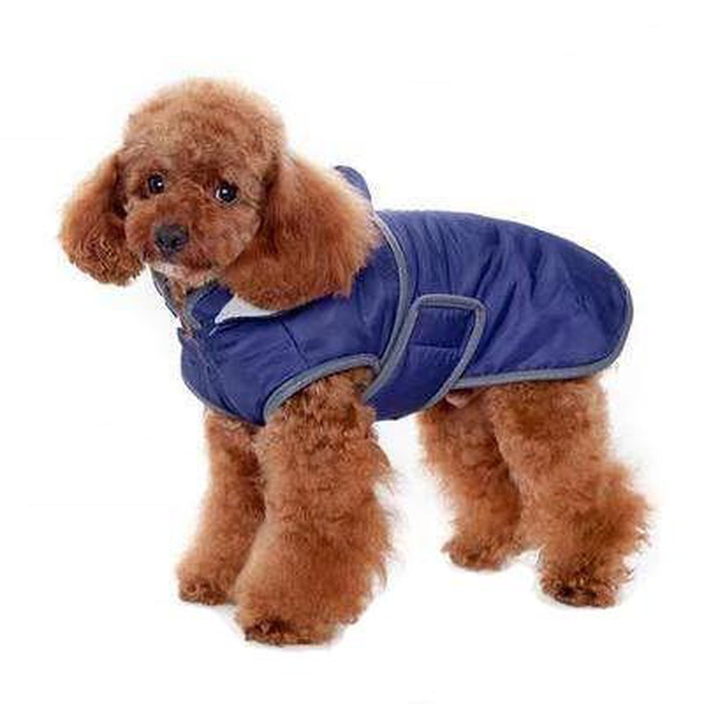 Classic Trench Dog Coat - Purple