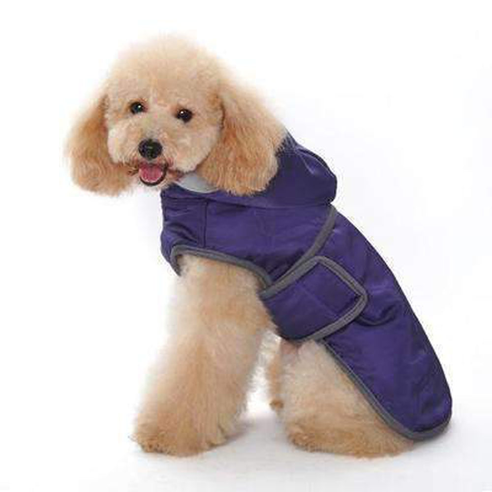 Classic Trench Dog Coat - Purple