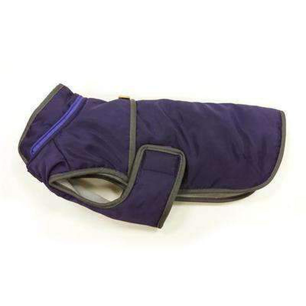 Classic Trench Dog Coat - Purple