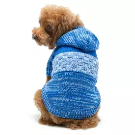 Colorblock Dog Sweater Coat