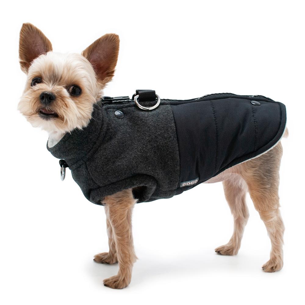 Midtown Runner Dog Coat