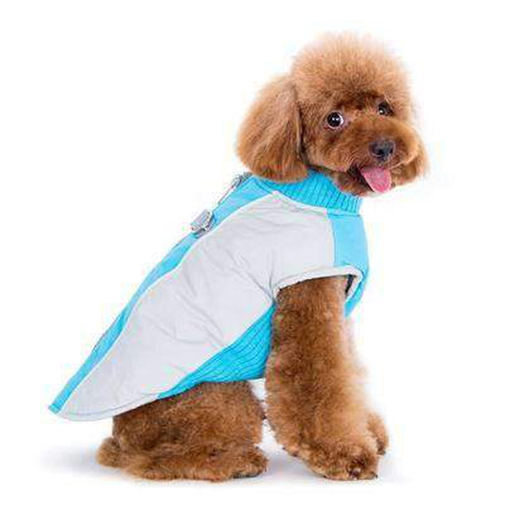 Mountain Hiker Dog Coat - Blue