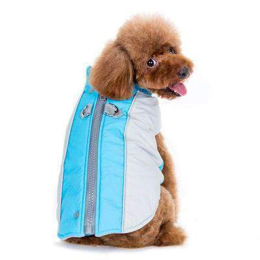 Mountain Hiker Dog Coat - Blue