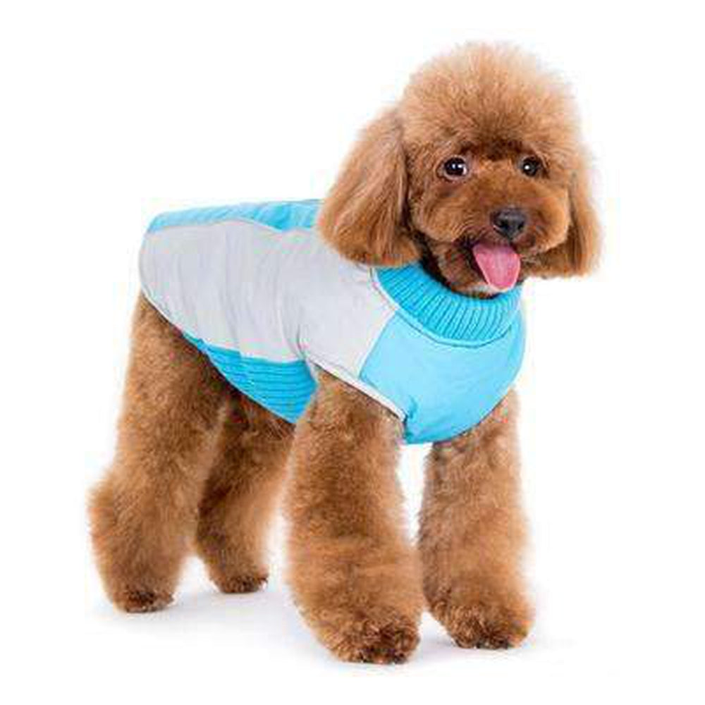 Mountain Hiker Dog Coat - Blue