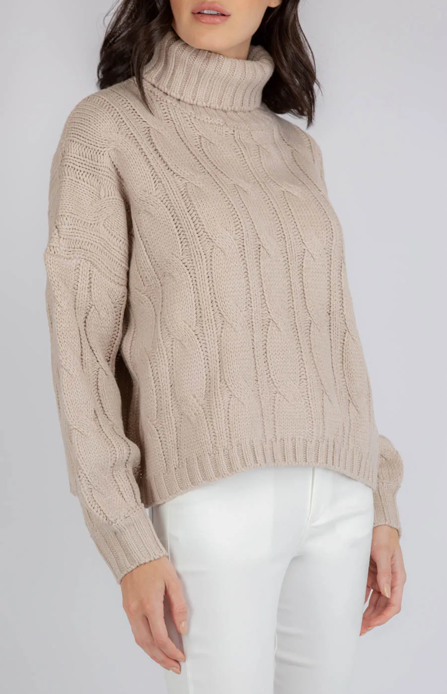 Oversized Turtleneck Cable Knit (AKN805)