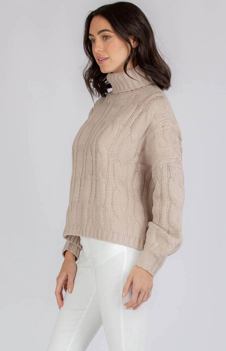 Oversized Turtleneck Cable Knit (AKN805)