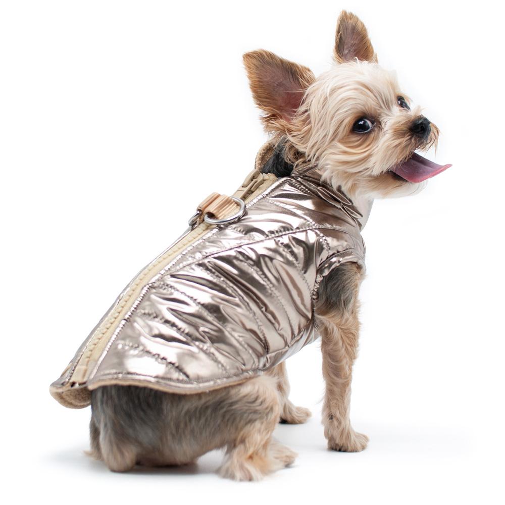 Runner Dog Coat - Gold