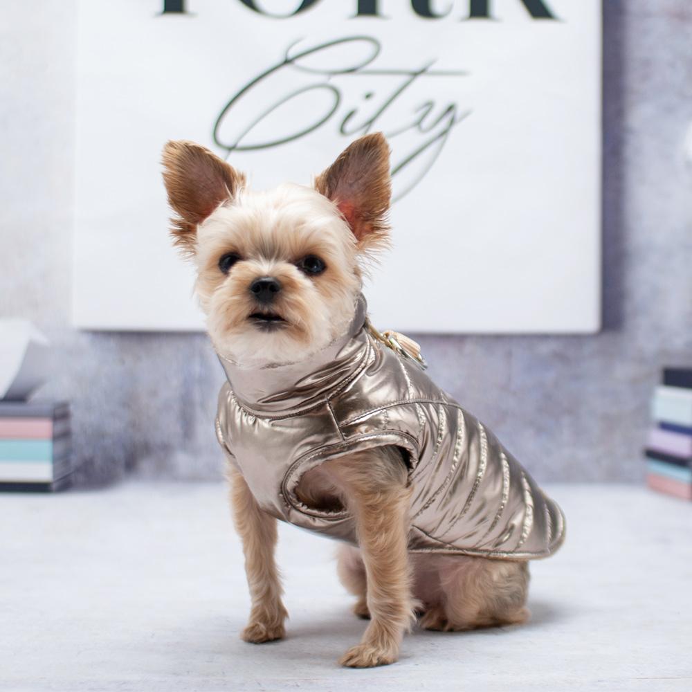 Runner Dog Coat - Gold