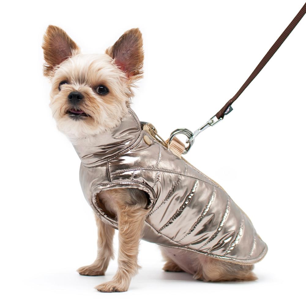 Runner Dog Coat - Gold