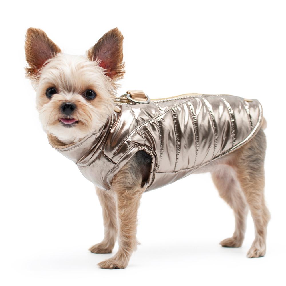 Runner Dog Coat - Gold