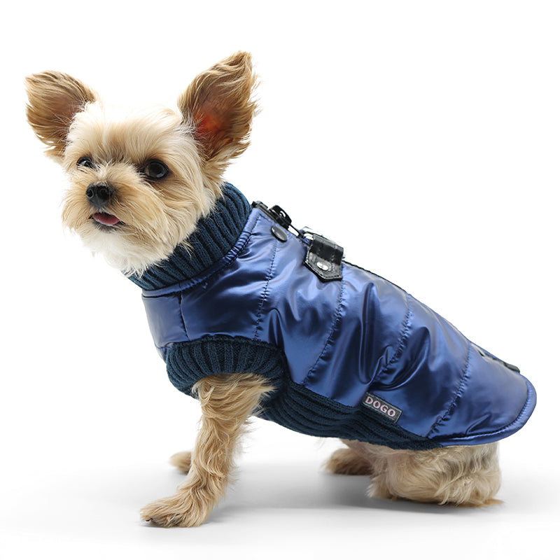 Runner Dog Coat - Metallic Blue