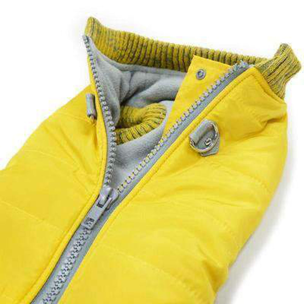 Runner Dog Coat - Yellow