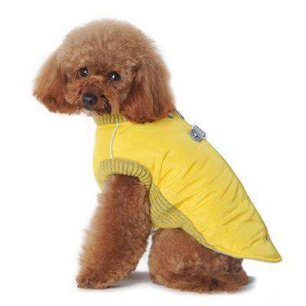 Runner Dog Coat - Yellow