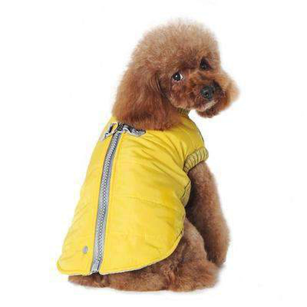 Runner Dog Coat - Yellow