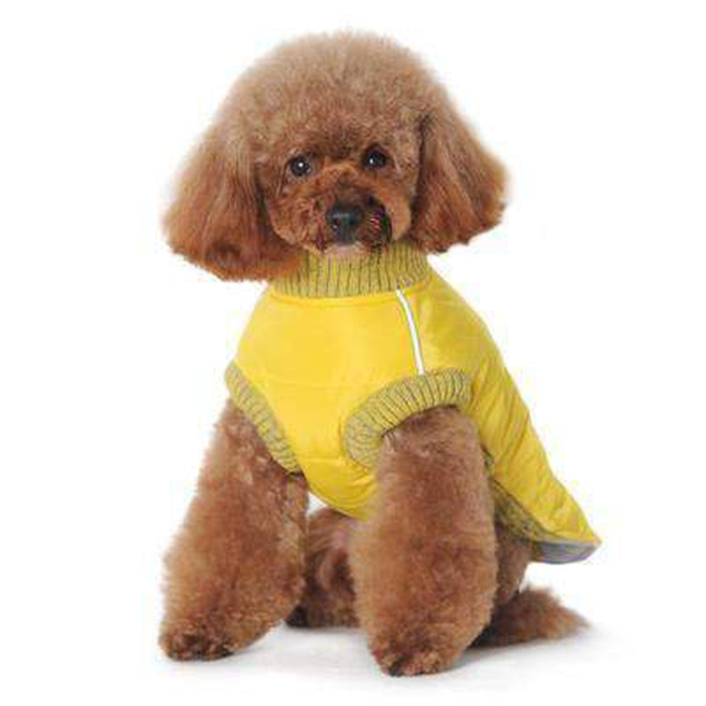 Runner Dog Coat - Yellow