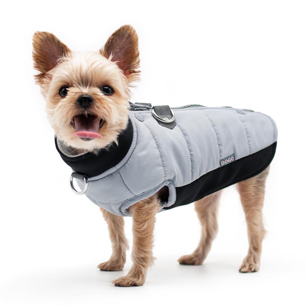 Urban Runner Dog Coat - Gray