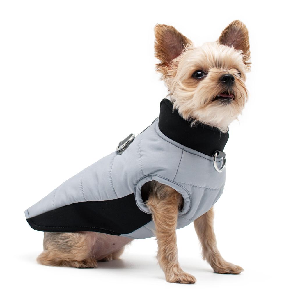 Urban Runner Dog Coat - Gray