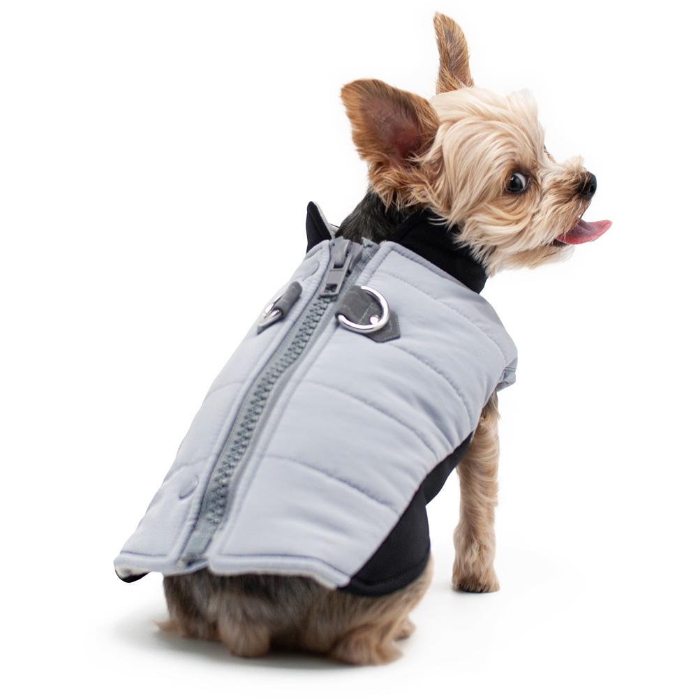 Urban Runner Dog Coat - Gray