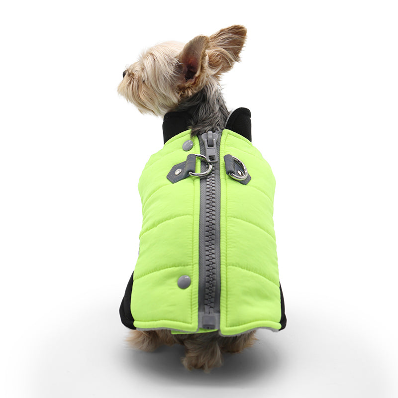 Urban Runner Dog Coat Neon