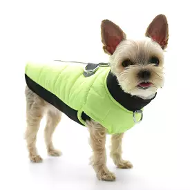 Urban Runner Dog Coat Neon