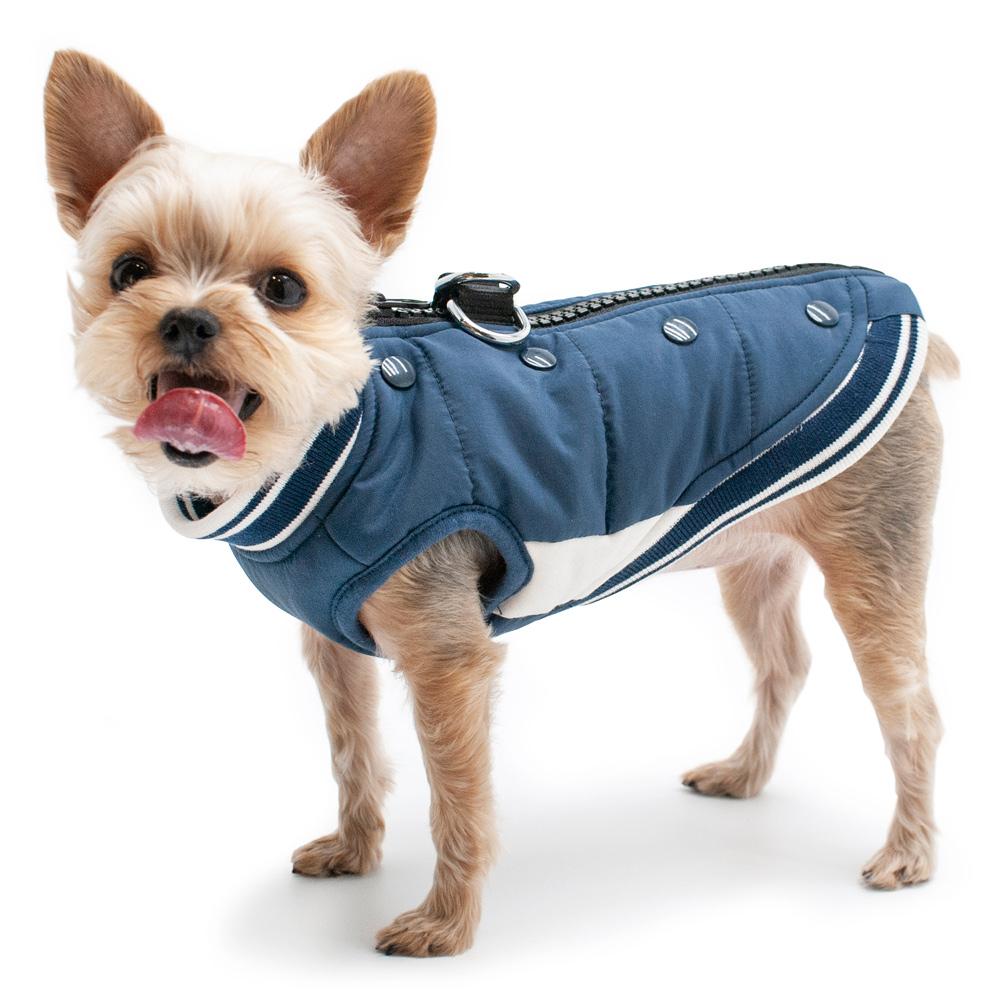 Varsity Runner Dog Coat