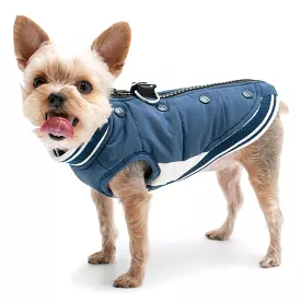 Varsity Runner Dog Coat